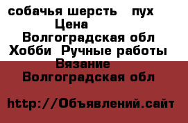 собачья шерсть ( пух ) › Цена ­ 300 - Волгоградская обл. Хобби. Ручные работы » Вязание   . Волгоградская обл.